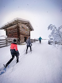 Die winterliche Bergwelt entdecken (Alpinhotel Berghaus) Die winterliche Bergwelt entdecken (Alpinhotel Berghaus)