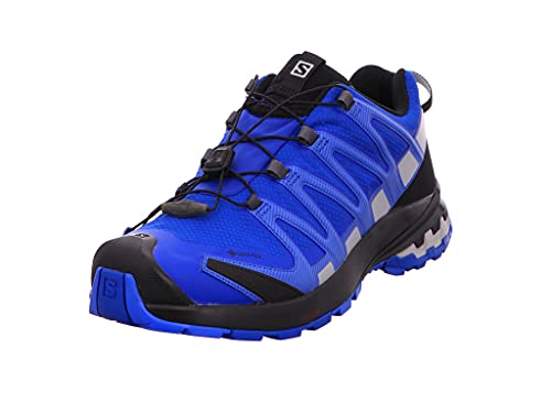 Salomon Herren XA PRO 3D V8 GTX Salomon Herren XA PRO 3D V8 GTX