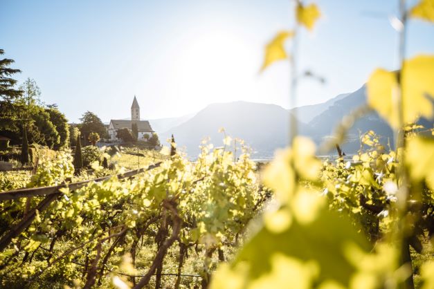 Die Gäste der Vitalpina®Hotels Südtirol erleben im Herbst die Natur als leuchtendes Farbenmeer (Bild