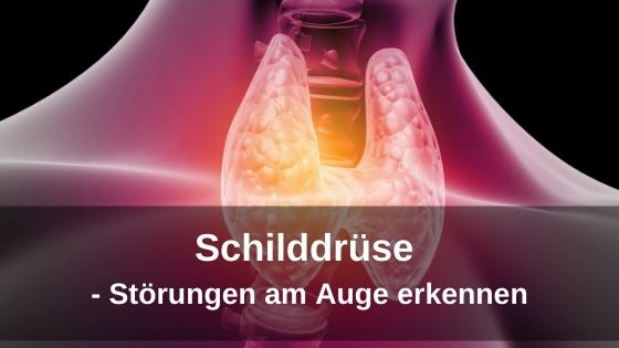 Bioresonanz-News zur Schilddrüse