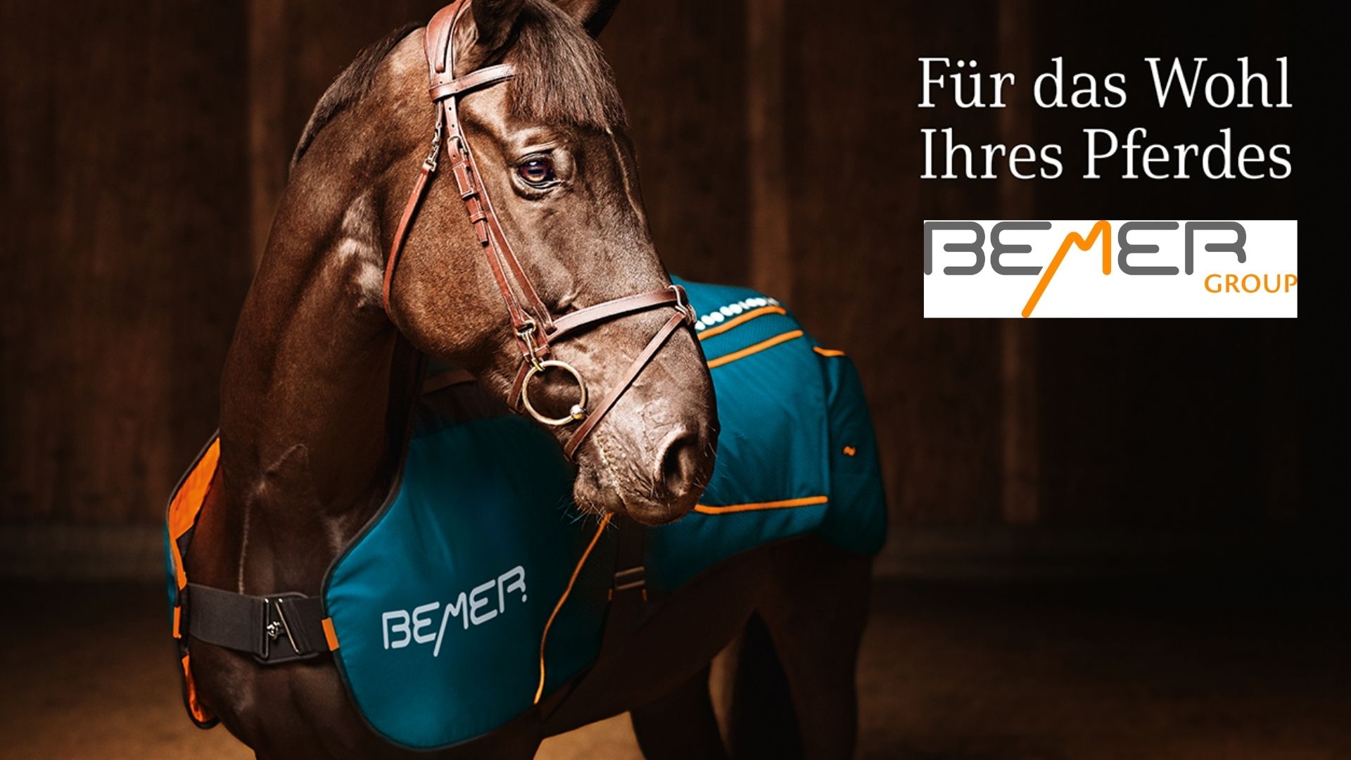 BEMER Pferde