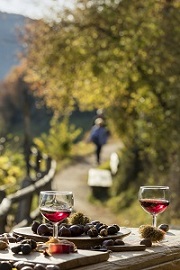 Die Törggelezeit in Algund genießen (c) Frieder Blickle (Tourismusverein Algund) Die Törggelezeit in Algund genießen (c) Frieder Blickle (Tourismusverein Algund)