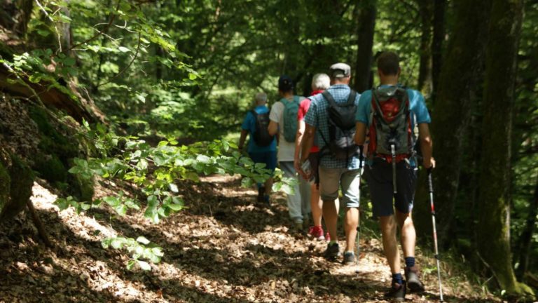 Eine Weinprobe in der Pfalz für eine bessere Teamkommunikation. Eine Weinprobe in der Pfalz für eine bessere Teamkommunikation.