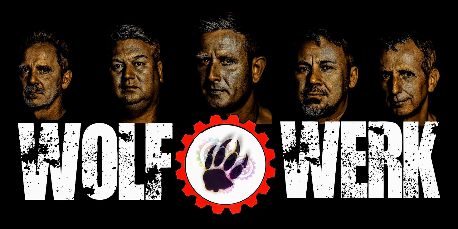 Wolfwerk aus Wernau