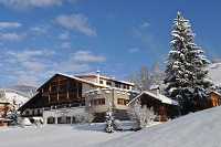 Außenansicht im Winter (Hotel Al Plan)