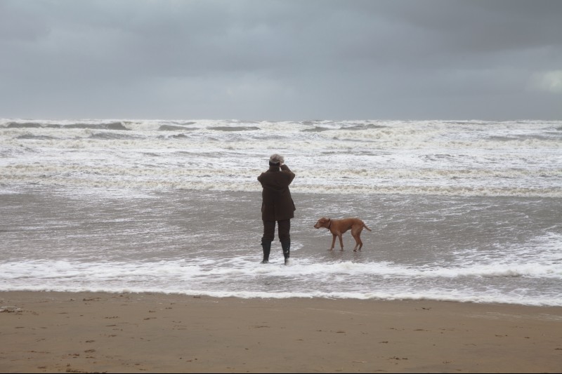 (Bildquelle: Copyright_Zandvoort)