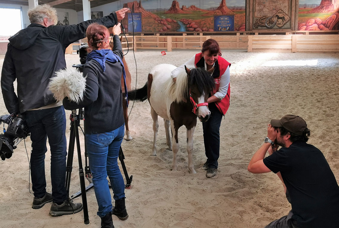 Schnütchen TESSA kommt ins Fernsehen - Dreharbeiten auf der Ballermann Ranch