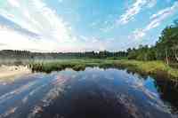 Moorlandschaft (SonnenMoor) Moorlandschaft (SonnenMoor)