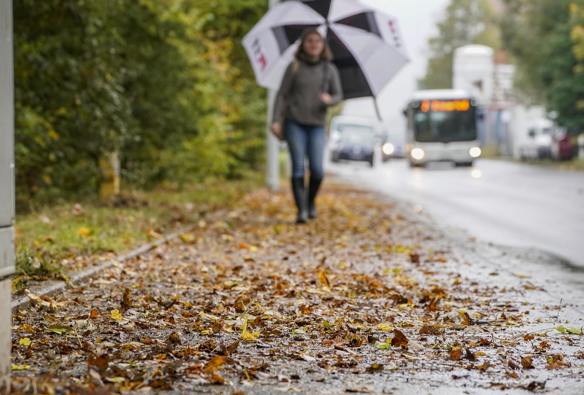 Nasses Herbstlaub kann Bürgersteige schnell in rutschige Flächen verwandeln. Foto: HUK-COBURG Nasses Herbstlaub kann Bürgersteige schnell in rutschige Flächen verwandeln. Foto: HUK-COBURG