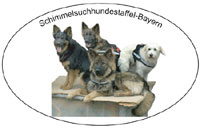 Schimmelsuchhundestaffel Bayern und Tirol