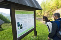 Frankenwald Tourismus - Wandern am Grünen Band