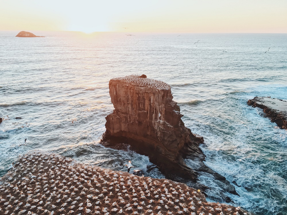 (Bildquelle: (c)aaron-birch-F3QjkbFduPQ-unsplash)