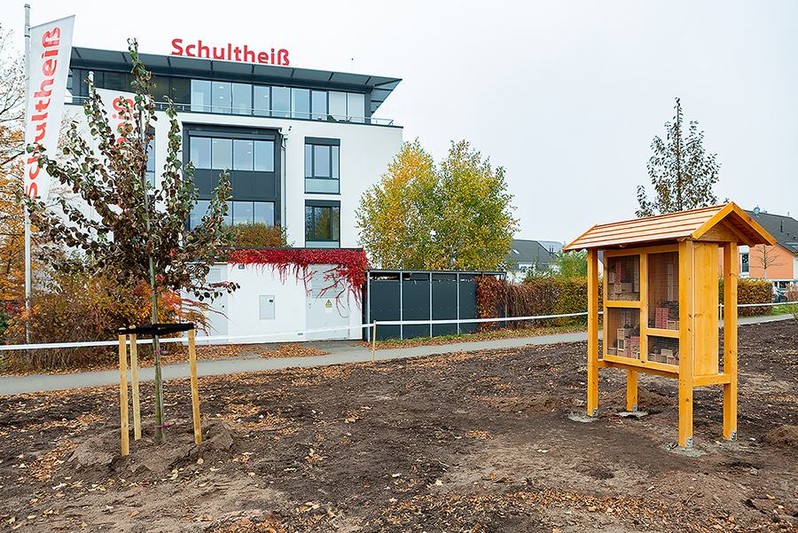 Neuer Klimahain in Nürnberg