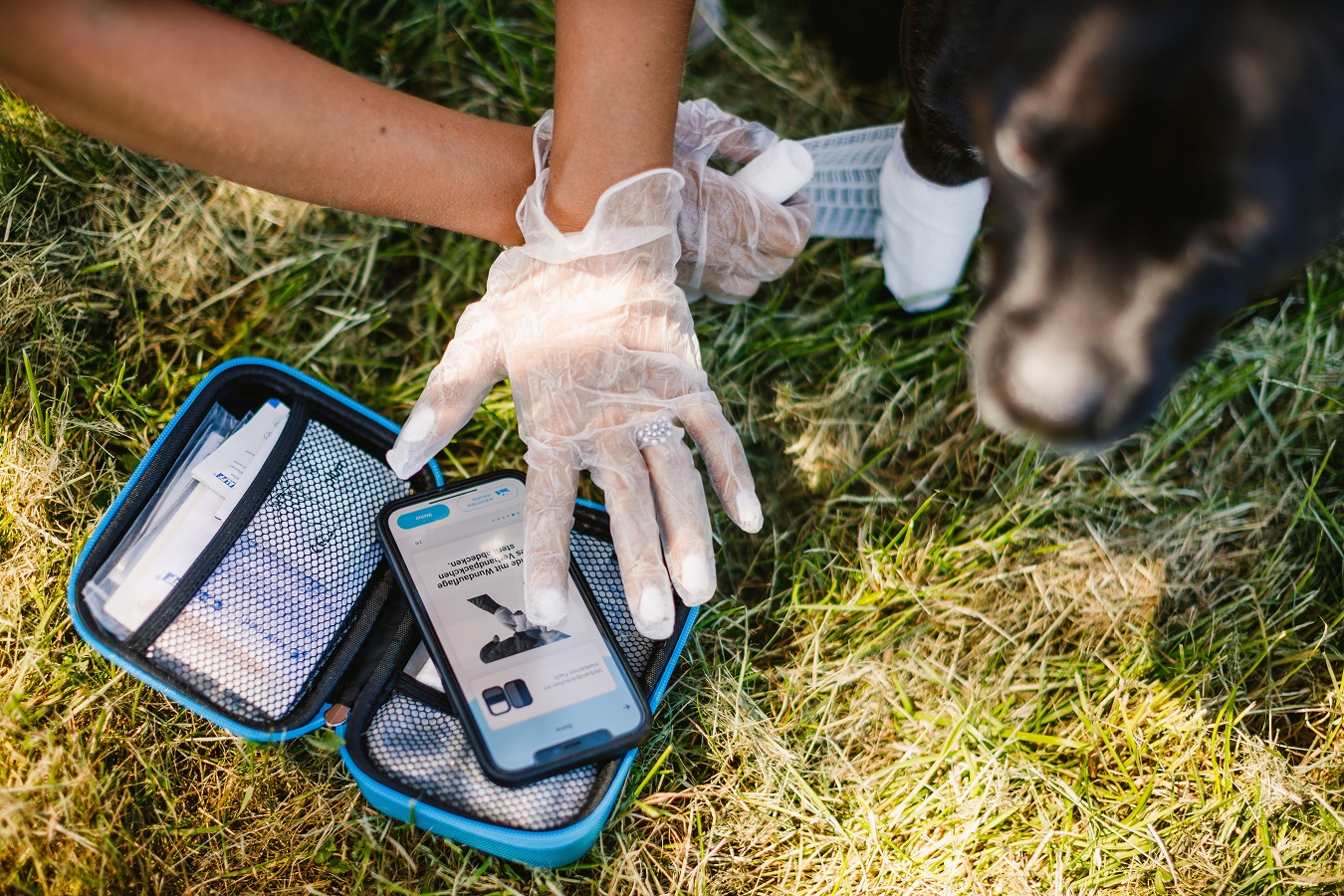 Die PocDoc PET CONNECT App leitetüber einfache Fragen schnell zur richtigen Behandlung. Die PocDoc PET CONNECT App leitetüber einfache Fragen schnell zur richtigen Behandlung.