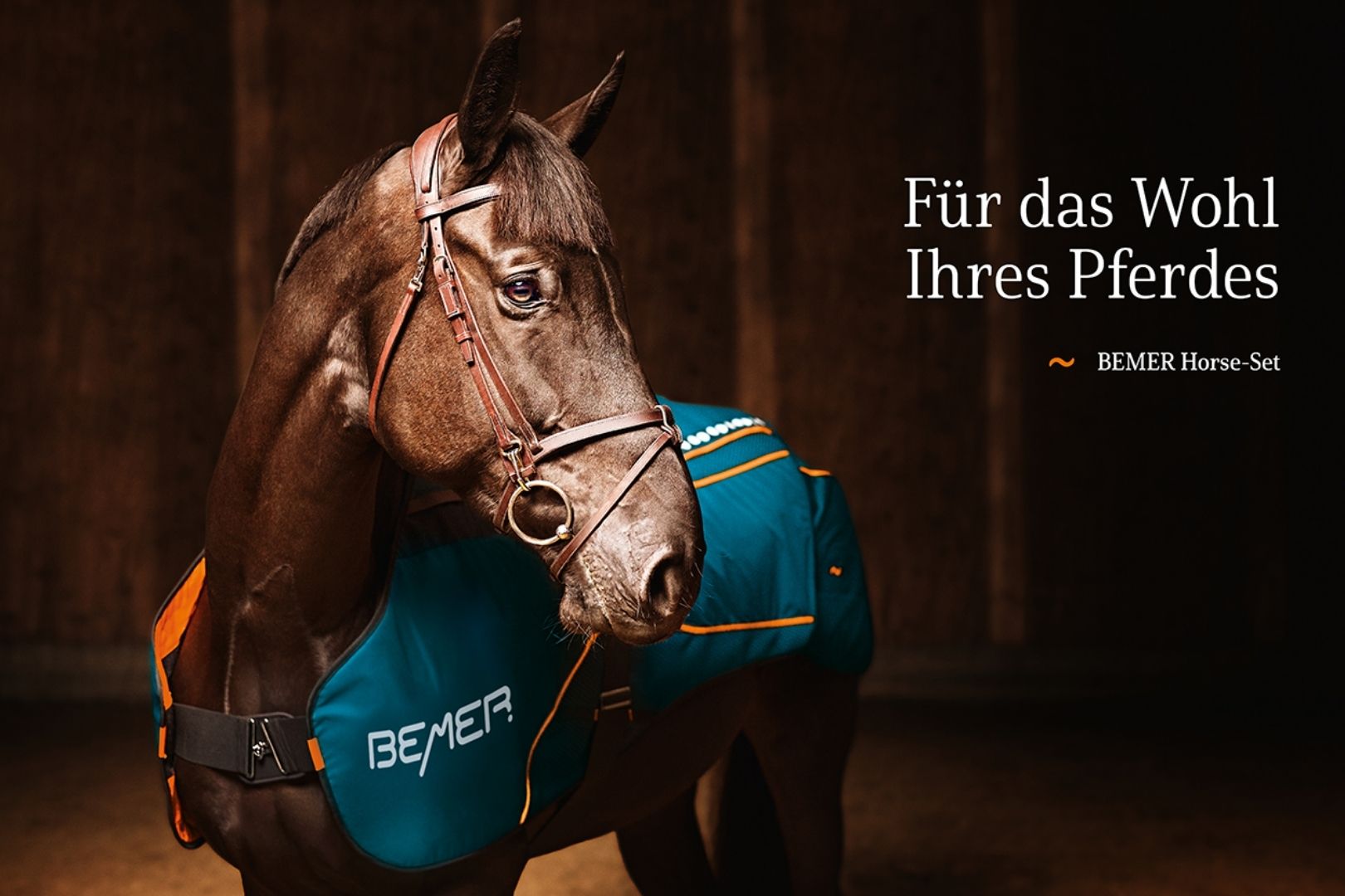 BEMER Horse Set
