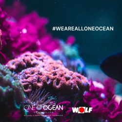 Unter dem Motto„We are all one ocean“engagiert sich WOLF zusammen mit starken Partnern für den Sch (