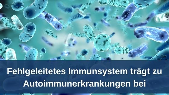 Bioresonanz-News zu fehlgeleitetes Immunsystem und Autoimmunerkrankungen Bioresonanz-News zu fehlgeleitetes Immunsystem und Autoimmunerkrankungen