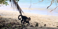 Auf in die Welt Schüleraustausch mit Stipendium in Costa Rica (Foto: Stiftung Völkerverständigung)