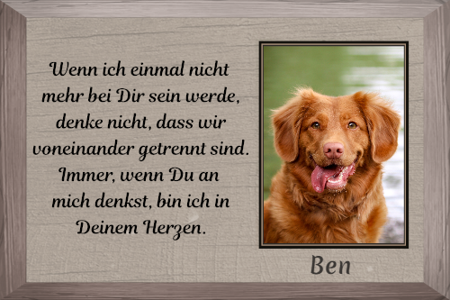 Personalisierte Wandbilder als ewige Erinnerung an geliebte Vierbeiner 