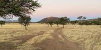Freiwilligendienst mit Stipendium in Namibia: Lotta auf der Farm (Foto: Stiftung Völkerverständigung Freiwilligendienst mit Stipendium in Namibia: Lotta auf der Farm (Foto: Stiftung Völkerverständigung