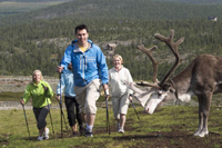 Nordic Walking in Lappland Nordic Walking in Lappland