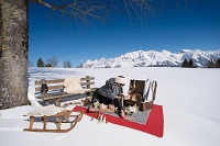 Picknick im Schnee (Apart & Suiten Hotel Weiden)