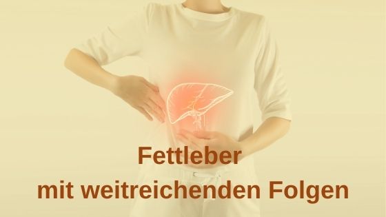 Bioresonanz-News zu Fettleber Bioresonanz-News zu Fettleber