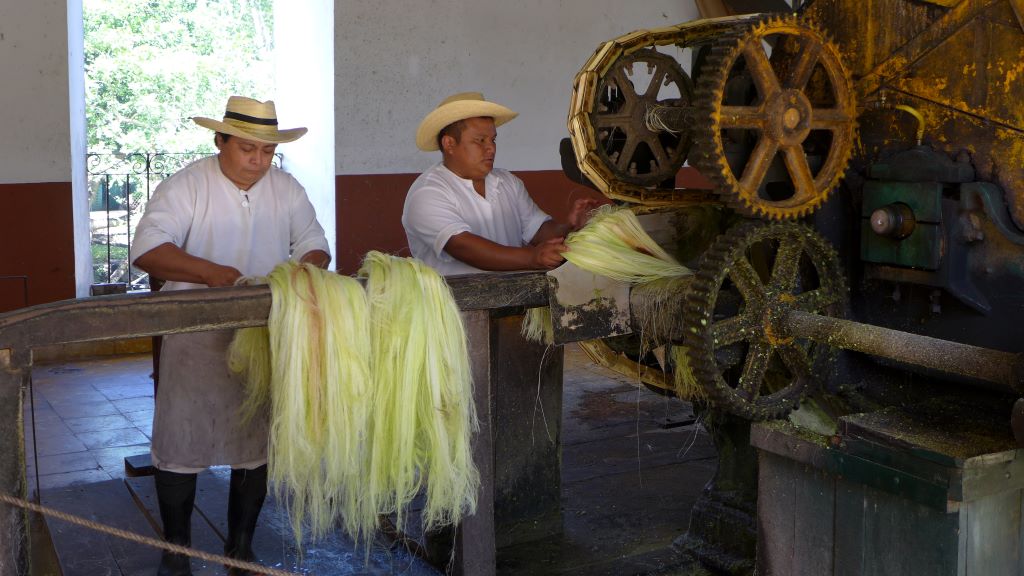 Erlebe Mexiko Reisen  - Impressionen aus Mexiko - Nachhaltige Seilproduktion