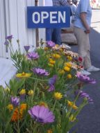 Interviews mit Hochbegabten – kostenfrei. Photo: Saskia-Marjanna Schulz