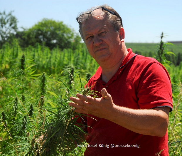 Wenzel Cerveny fordert Weihnachtsamnestie für Cannabis-Verurteilte (Bildquelle: @Foto: Josef König für CVB)