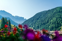 Blick auf die Berge vom Balkon aus Blick auf die Berge vom Balkon aus