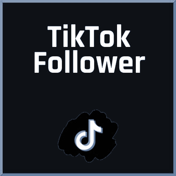 Tiktok Follower