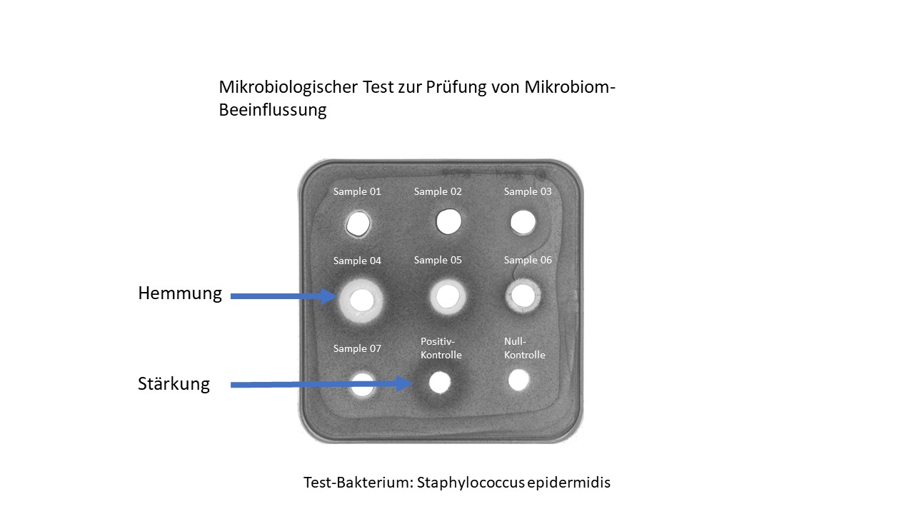 Labortests haben gezeigt, dass viele Hautcremes gesunde Bakterien und Mikrobiom hemmen (heller Kreis Labortests haben gezeigt, dass viele Hautcremes gesunde Bakterien und Mikrobiom hemmen (heller Kreis