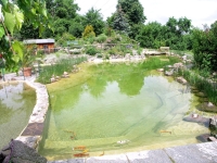 Hotel Landhotel Gut Wildberg - Traumhafter Aussenbereich mit Schwimmteich