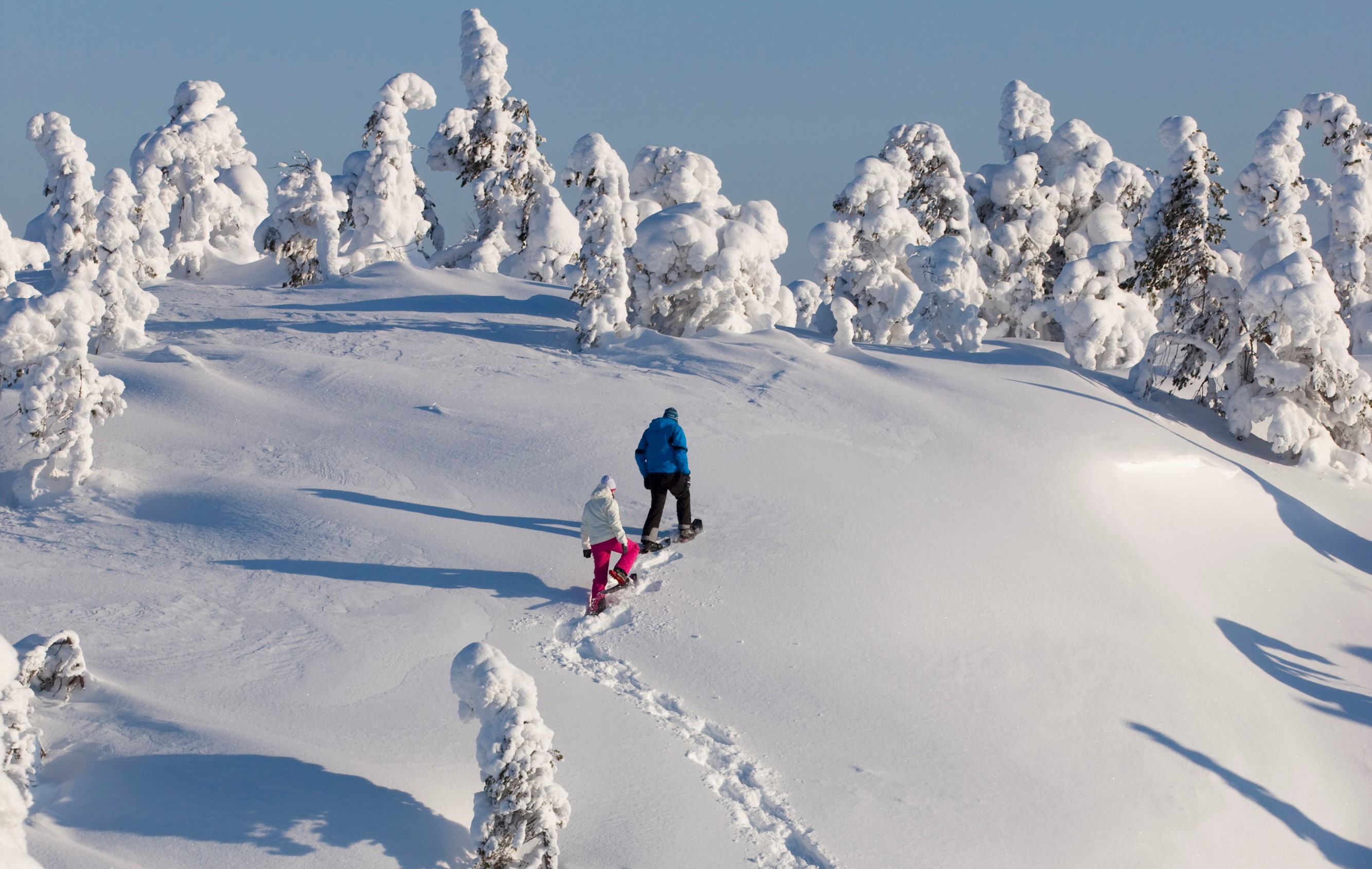 In Finnland ist die Natur nie weit entfernt. Deshalb haben die Finnen eine sehr enge Bindung zu ihr (Bildquelle:©Ruka-Kuusamo) In Finnland ist die Natur nie weit entfernt. Deshalb haben die Finnen eine sehr enge Bindung zu ihr (Bildquelle:©Ruka-Kuusamo)