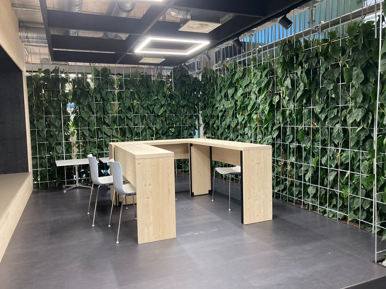 Effektive Innenraum-Begrünungen sind professionell geplant. Foto: Ruof