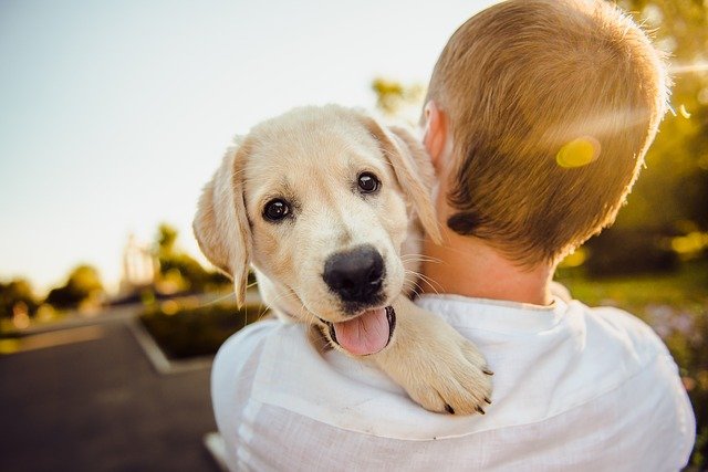 Mein bester Freund (Bildquelle: Pixabay) Mein bester Freund (Bildquelle: Pixabay)