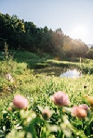 Natureindrücke bezaubern in Algund (c) Benjamin Pfitscher (Tourimusverband Algund) Natureindrücke bezaubern in Algund (c) Benjamin Pfitscher (Tourimusverband Algund)