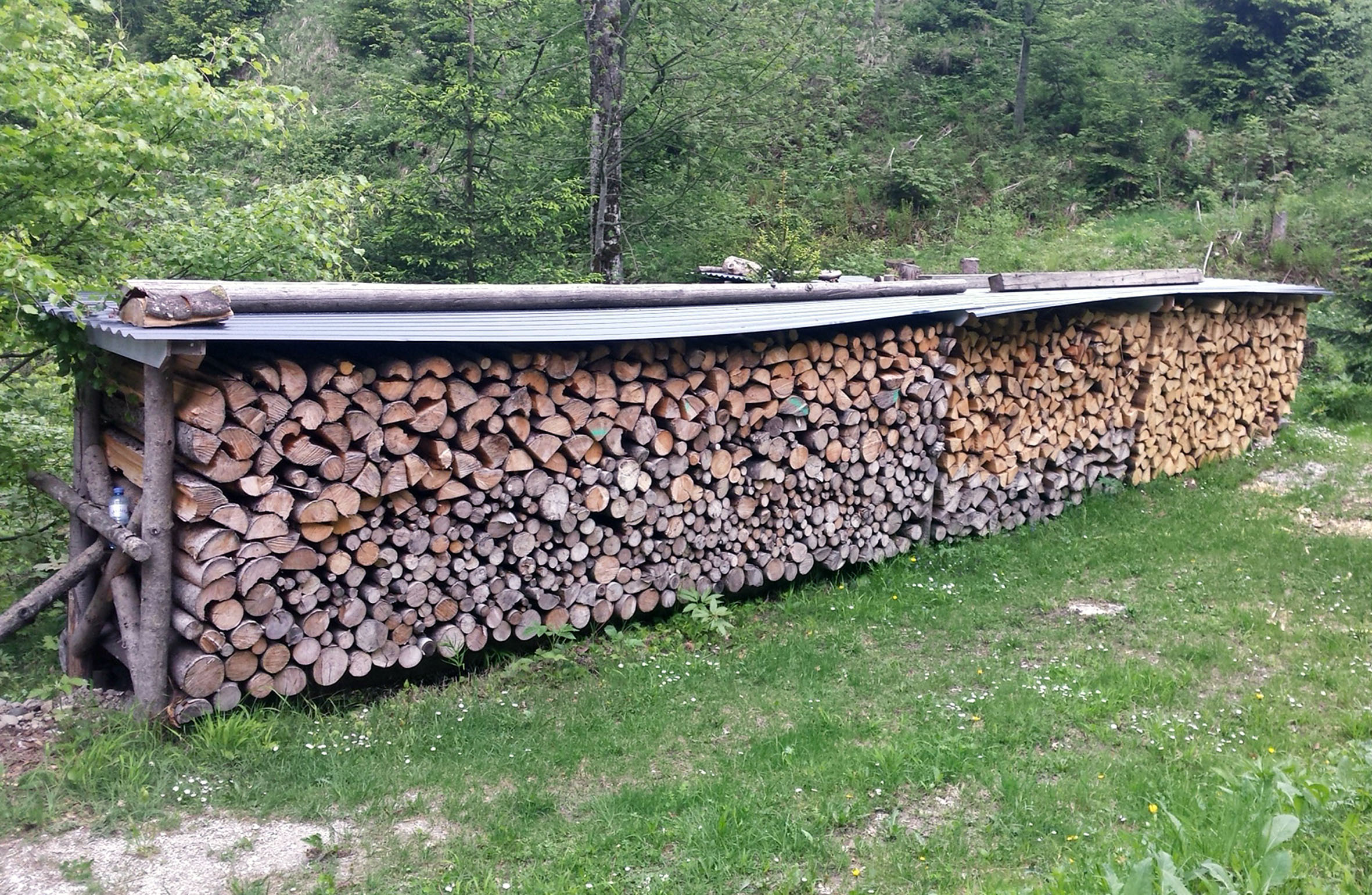 Brennholz fällt bei der Waldpflege oder Holzernte an und ist für andere Verwendungen nicht geeignet