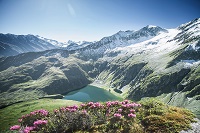 Blick auf den Seebachsee im Obersulzbachtal (Hotel Gassner) Blick auf den Seebachsee im Obersulzbachtal (Hotel Gassner)