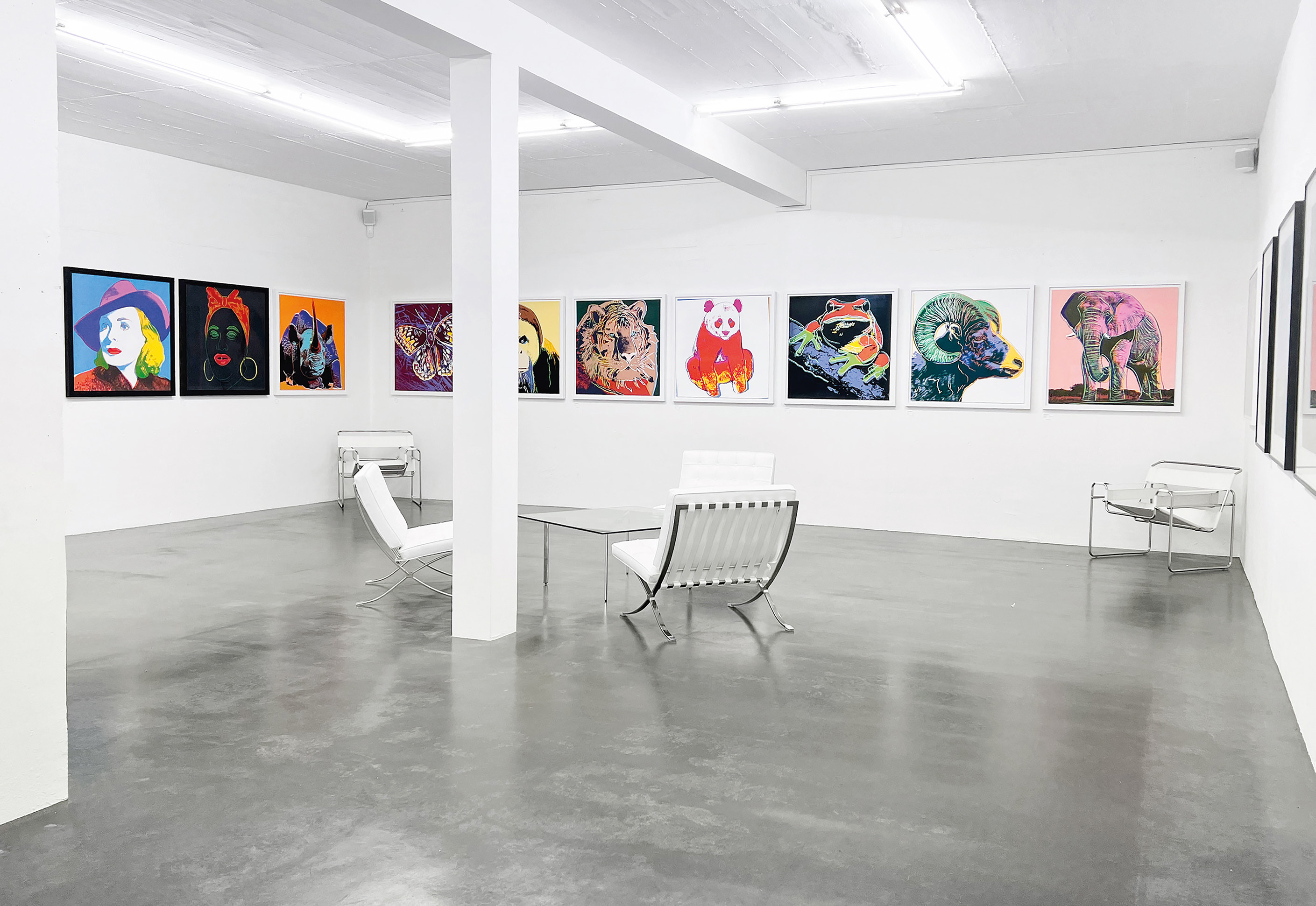 Neue Kunst für Köln: Lanford Gallery eröffnet in bester Lage Neue Kunst für Köln: Lanford Gallery eröffnet in bester Lage