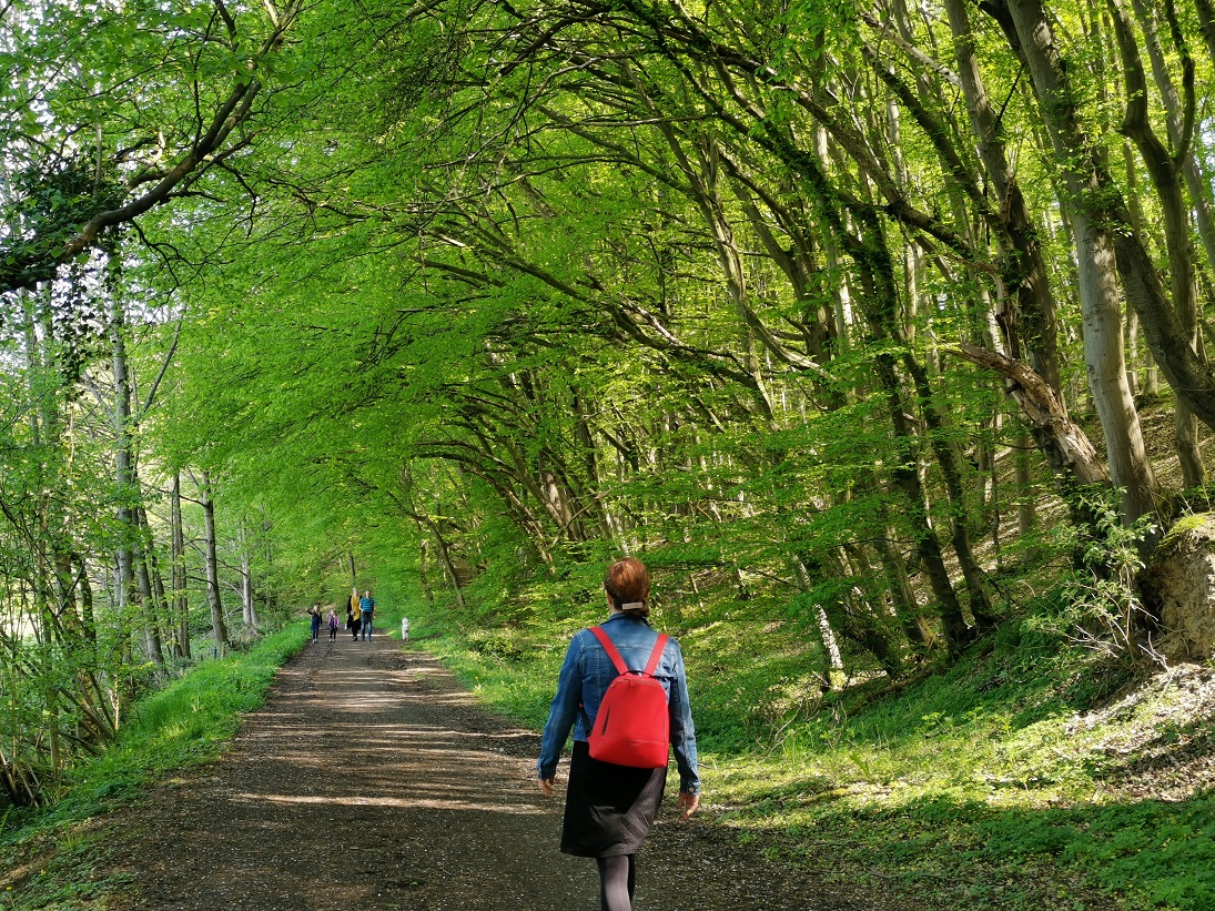 Die aus dem Winterschlaf erwachenden Wälder locken im Frühjahr viele Naturbegeisterte nach draußen Die aus dem Winterschlaf erwachenden Wälder locken im Frühjahr viele Naturbegeisterte nach draußen