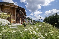 Idylle pur beim Berghaus Bartholomäberg (c) Patrick Säly (Hotel Montafonerhof) Idylle pur beim Berghaus Bartholomäberg (c) Patrick Säly (Hotel Montafonerhof)