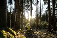 Die Ruhe und Balance finden in den Wäldern der Seiser Alm (c) Seiser Alm Marketing - Helmuth Rier (H