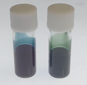 Dispersion von Gold-Nanopartikeln