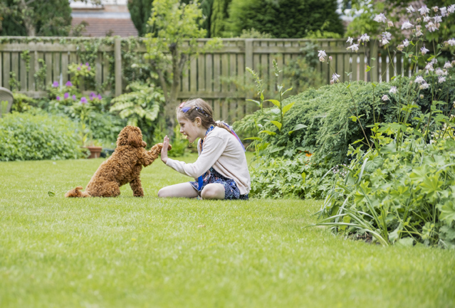 Eltern sollten die Bepflanzung im Gartenüberprüfen, um Kinder und Haustiere nicht zu gefährden. (Bildquelle: ERGO Group)