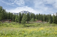 Gainschniggalm umgeben von blühender Almwiese (c) Florian Bachmeier (Tourismusverband Rauris) Gainschniggalm umgeben von blühender Almwiese (c) Florian Bachmeier (Tourismusverband Rauris)