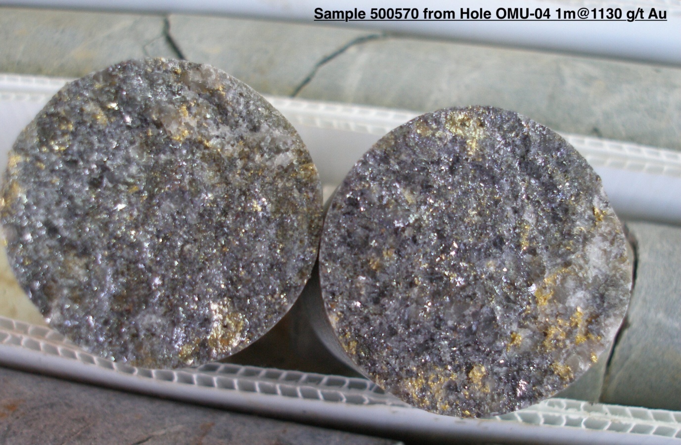 Bohrkern mit 1130g Gold pro Tonne; Quelle: Omai Gold Mines Bohrkern mit 1130g Gold pro Tonne; Quelle: Omai Gold Mines