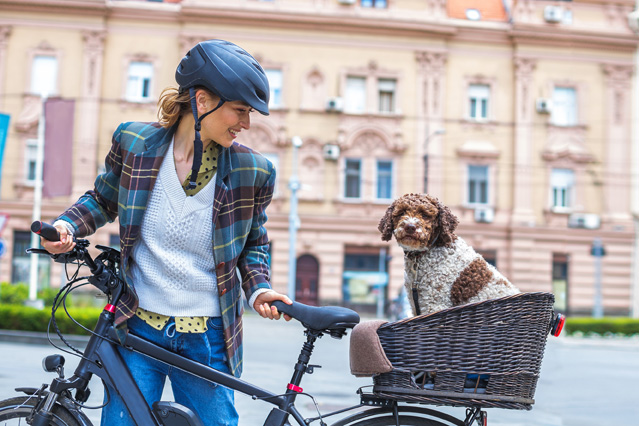 Haustiere, die auf dem Fahrrad transportiert werden, sollten weniger als fünf Kilo wiegen. (Bildquelle: ERGO Group)
