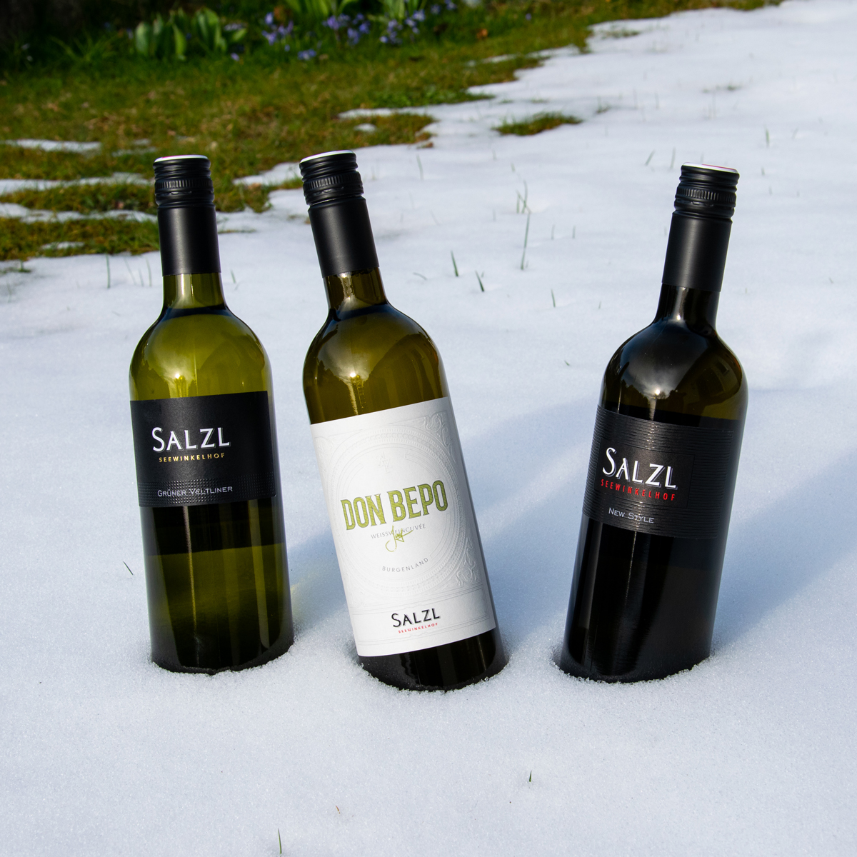 Das Weingut Salzl präsentiert heute gleich 3 Weißweine aus dem umfangreichen Weinsortiment. Das Weingut Salzl präsentiert heute gleich 3 Weißweine aus dem umfangreichen Weinsortiment.